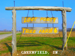 Lost 40